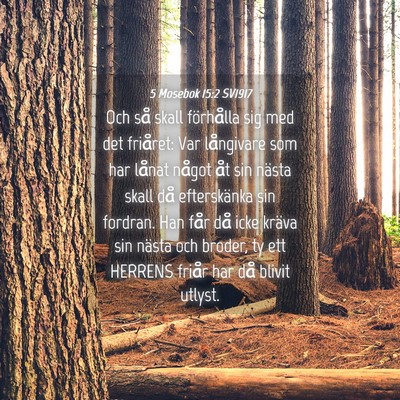 Picture 04 - 5 Mosebok 15:2 SV1917 - Och så skall förhålla sig med det friåret: - Bible Verse Picture