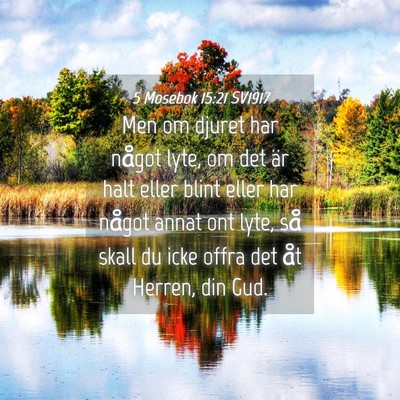 Picture 04 - 5 Mosebok 15:21 SV1917 - Men om djuret har något lyte, om det är halt - Bible Verse Picture