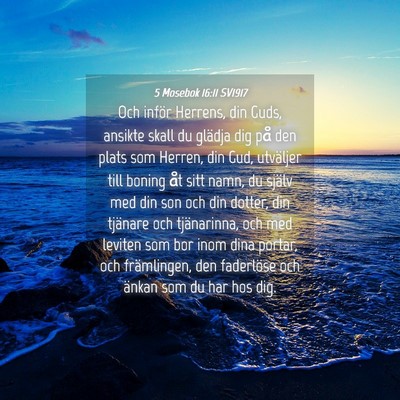 Picture 04 - 5 Mosebok 16:11 SV1917 - Och inför Herrens, din Guds, ansikte skall du - Bible Verse Picture