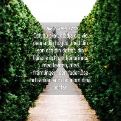 Picture 04 - 5 Mosebok 16:14 SV1917 - Och du skall glädja dig vid denna din högtid, - Bible Verse Picture