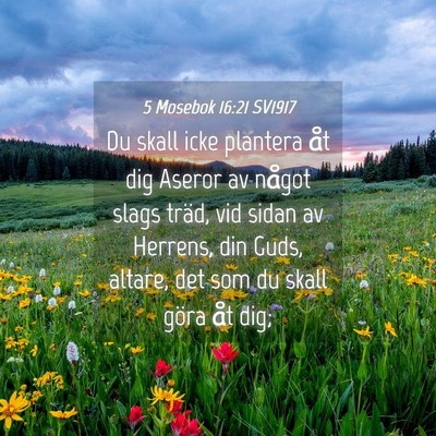 Picture 04 - 5 Mosebok 16:21 SV1917 - Du skall icke plantera åt dig Aseror av något - Bible Verse Picture