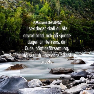 Picture 04 - 5 Mosebok 16:8 SV1917 - I sex dagar skall du äta osyrat bröd, och på - Bible Verse Picture