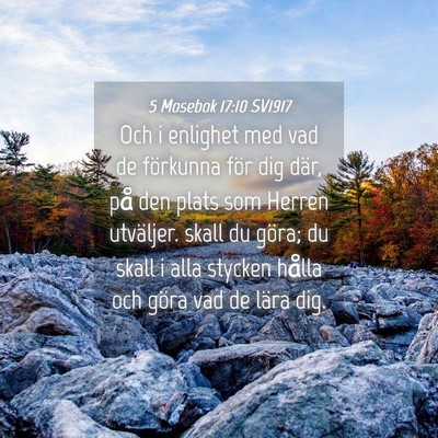 Picture 04 - 5 Mosebok 17:10 SV1917 - Och i enlighet med vad de förkunna för dig - Bible Verse Picture