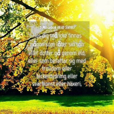 Picture 04 - 5 Mosebok 18:10 SV1917 - Hos dig må icke finnas någon som låter sin son - Bible Verse Picture