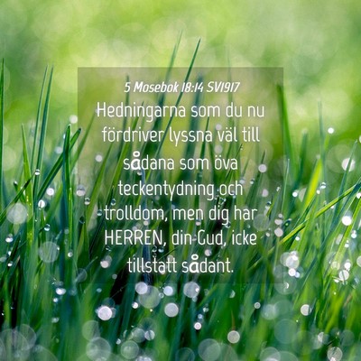 Picture 04 - 5 Mosebok 18:14 SV1917 - Hedningarna som du nu fördriver lyssna väl till - Bible Verse Picture