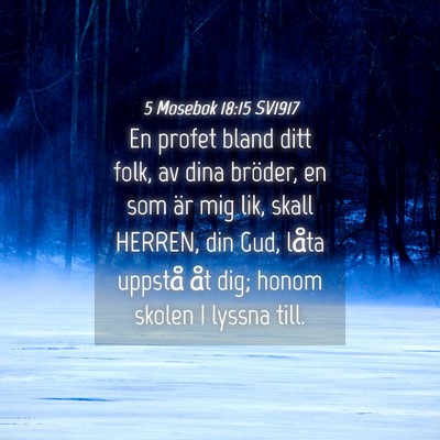 Picture 04 - 5 Mosebok 18:15 SV1917 - En profet bland ditt folk, av dina bröder, en - Bible Verse Picture