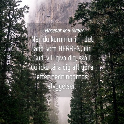 Picture 04 - 5 Mosebok 18:9 SV1917 - När du kommer in i det land som HERREN, din Gud, - Bible Verse Picture