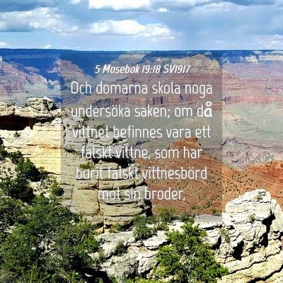 Picture 04 - 5 Mosebok 19:18 SV1917 - Och domarna skola noga undersöka saken; om då - Bible Verse Picture