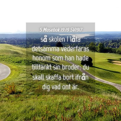 Picture 04 - 5 Mosebok 19:19 SV1917 - så skolen I låta detsamma vederfaras honom som - Bible Verse Picture