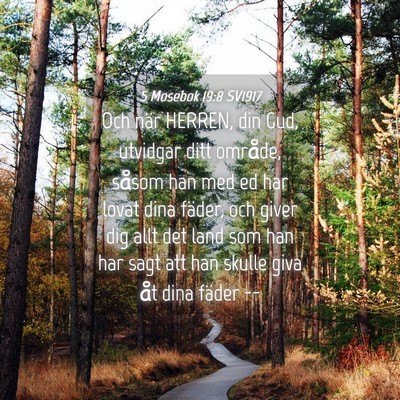 Picture 04 - 5 Mosebok 19:8 SV1917 - Och när HERREN, din Gud, utvidgar ditt område, - Bible Verse Picture