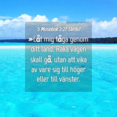 Picture 04 - 5 Mosebok 2:27 SV1917 - »Låt mig tåga genom ditt land. Raka vägen - Bible Verse Picture