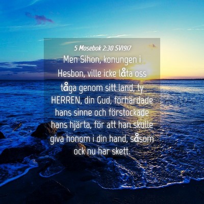 Picture 04 - 5 Mosebok 2:30 SV1917 - Men Sihon, konungen i Hesbon, ville icke låta - Bible Verse Picture