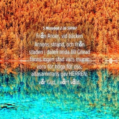 Picture 04 - 5 Mosebok 2:36 SV1917 - Från Aroer, vid bäcken Arnons strand, och från - Bible Verse Picture