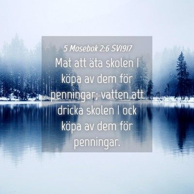 Picture 04 - 5 Mosebok 2:6 SV1917 - Mat att äta skolen I köpa av dem för - Bible Verse Picture