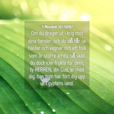 Picture 04 - 5 Mosebok 20:1 SV1917 - Om du drager ut i krig mot dina fiender, och du - Bible Verse Picture