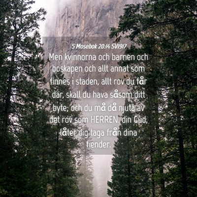 Picture 04 - 5 Mosebok 20:14 SV1917 - Men kvinnorna och barnen och boskapen och allt - Bible Verse Picture