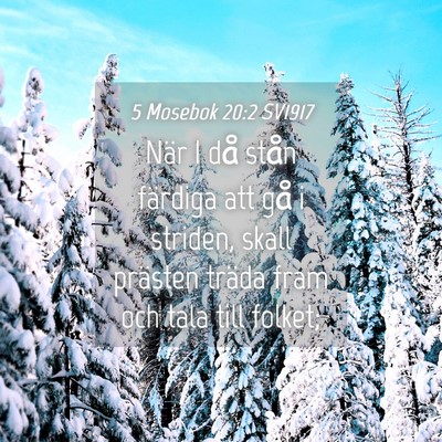 Picture 04 - 5 Mosebok 20:2 SV1917 - När I då stån färdiga att gå i striden, - Bible Verse Picture