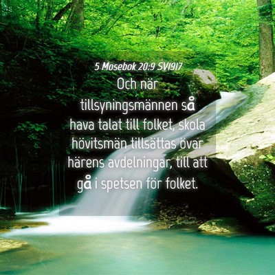 Picture 04 - 5 Mosebok 20:9 SV1917 - Och när tillsyningsmännen så hava talat till - Bible Verse Picture