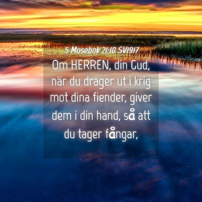 Picture 04 - 5 Mosebok 21:10 SV1917 - Om HERREN, din Gud, när du drager ut i krig mot - Bible Verse Picture