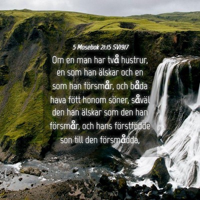 Picture 04 - 5 Mosebok 21:15 SV1917 - Om en man har två hustrur, en som han älskar - Bible Verse Picture