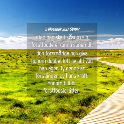 Picture 04 - 5 Mosebok 21:17 SV1917 - utan han skall såsom sin förstfödde erkänna - Bible Verse Picture