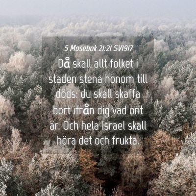 Picture 04 - 5 Mosebok 21:21 SV1917 - Då skall allt folket i staden stena honom till - Bible Verse Picture