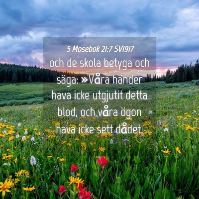 Picture 04 - 5 Mosebok 21:7 SV1917 - och de skola betyga och säga: »Våra händer - Bible Verse Picture