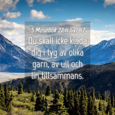Picture 04 - 5 Mosebok 22:11 SV1917 - Du skall icke kläda dig i tyg av olika garn, av - Bible Verse Picture