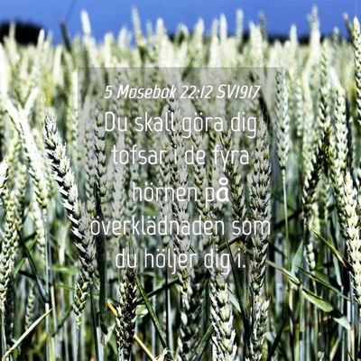 Picture 04 - 5 Mosebok 22:12 SV1917 - Du skall göra dig tofsar i de fyra hörnen på - Bible Verse Picture