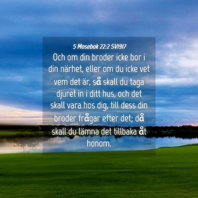 Picture 04 - 5 Mosebok 22:2 SV1917 - Och om din broder icke bor i din närhet, eller - Bible Verse Picture