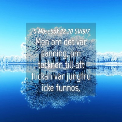 Picture 04 - 5 Mosebok 22:20 SV1917 - Men om det var sanning, om tecknen till att - Bible Verse Picture
