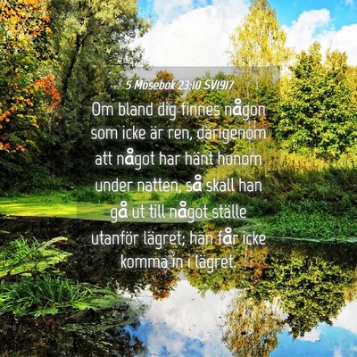 Picture 04 - 5 Mosebok 23:10 SV1917 - Om bland dig finnes någon som icke är ren, - Bible Verse Picture