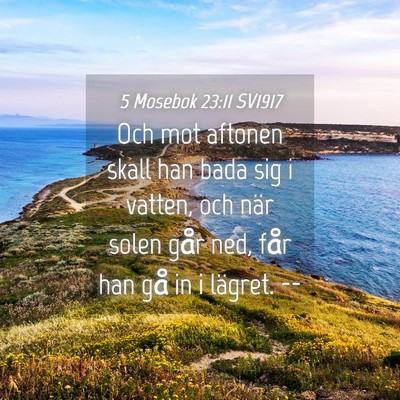 Picture 04 - 5 Mosebok 23:11 SV1917 - Och mot aftonen skall han bada sig i vatten, och - Bible Verse Picture