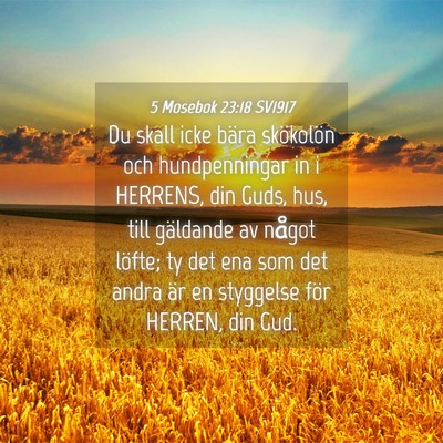 Picture 04 - 5 Mosebok 23:18 SV1917 - Du skall icke bära skökolön och hundpenningar - Bible Verse Picture