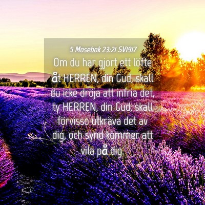 Picture 04 - 5 Mosebok 23:21 SV1917 - Om du har gjort ett löfte åt HERREN, din Gud, - Bible Verse Picture