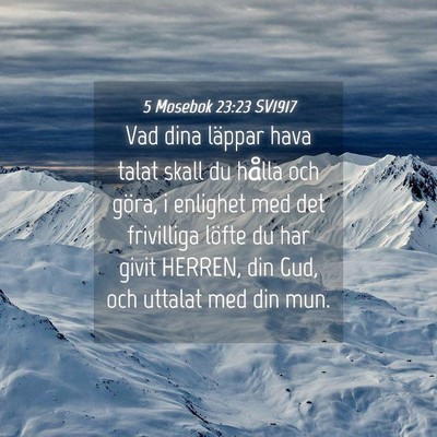 Picture 04 - 5 Mosebok 23:23 SV1917 - Vad dina läppar hava talat skall du hålla och - Bible Verse Picture
