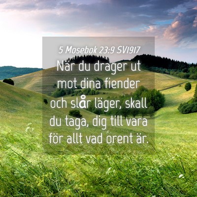 Picture 04 - 5 Mosebok 23:9 SV1917 - När du drager ut mot dina fiender och slår - Bible Verse Picture