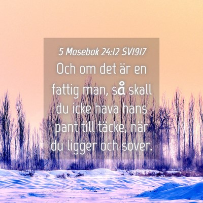 Picture 04 - 5 Mosebok 24:12 SV1917 - Och om det är en fattig man, så skall du icke - Bible Verse Picture