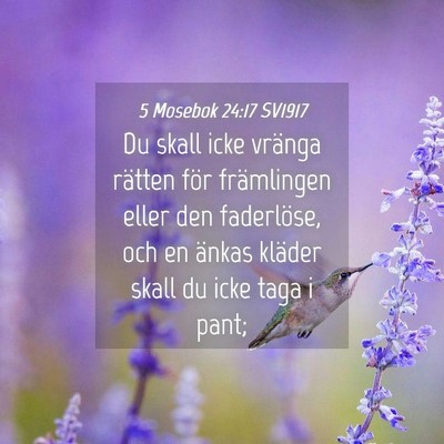 Picture 04 - 5 Mosebok 24:17 SV1917 - Du skall icke vränga rätten för främlingen - Bible Verse Picture