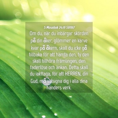 Picture 04 - 5 Mosebok 24:19 SV1917 - Om du, när du inbärgar skörden på din åker, - Bible Verse Picture