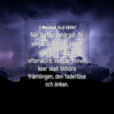 Picture 04 - 5 Mosebok 24:21 SV1917 - När du har avbärgat din vingård, skall du - Bible Verse Picture