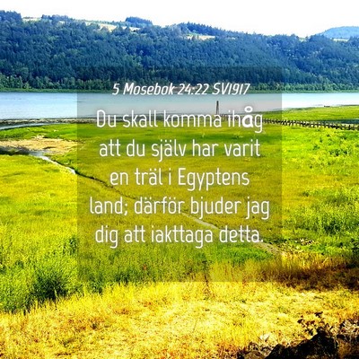 Picture 04 - 5 Mosebok 24:22 SV1917 - Du skall komma ihåg att du själv har varit en - Bible Verse Picture