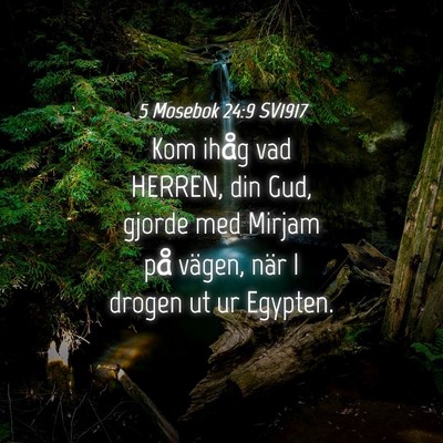 Picture 04 - 5 Mosebok 24:9 SV1917 - Kom ihåg vad HERREN, din Gud, gjorde med Mirjam - Bible Verse Picture