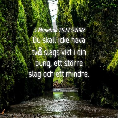 Picture 04 - 5 Mosebok 25:13 SV1917 - Du skall icke hava två slags vikt i din pung, - Bible Verse Picture