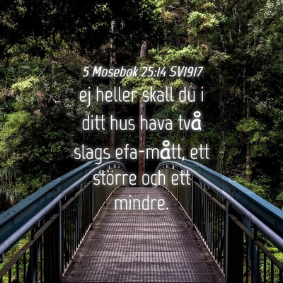 Picture 04 - 5 Mosebok 25:14 SV1917 - ej heller skall du i ditt hus hava två slags - Bible Verse Picture