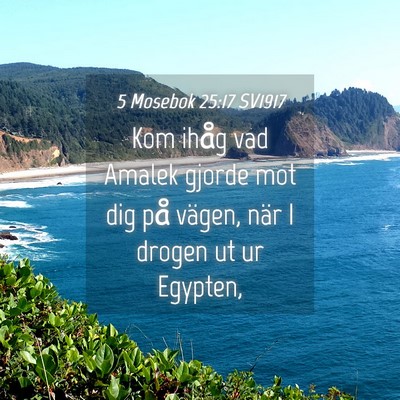 Picture 04 - 5 Mosebok 25:17 SV1917 - Kom ihåg vad Amalek gjorde mot dig på vägen, - Bible Verse Picture