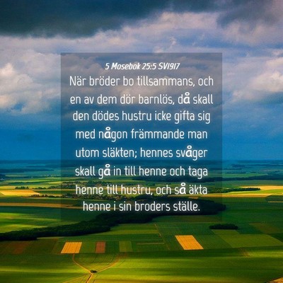 Picture 04 - 5 Mosebok 25:5 SV1917 - När bröder bo tillsammans, och en av dem dör - Bible Verse Picture