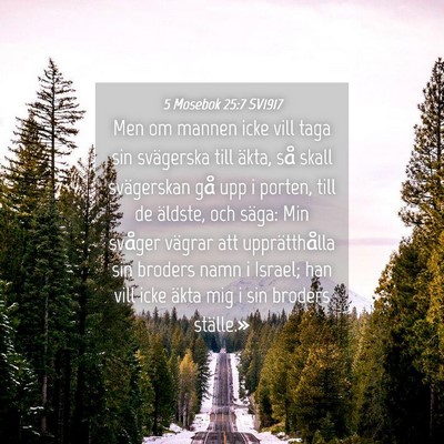 Picture 04 - 5 Mosebok 25:7 SV1917 - Men om mannen icke vill taga sin svägerska till - Bible Verse Picture