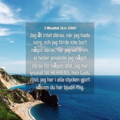 Picture 04 - 5 Mosebok 26:14 SV1917 - Jag åt intet därav, när jag hade sorg, och jag - Bible Verse Picture
