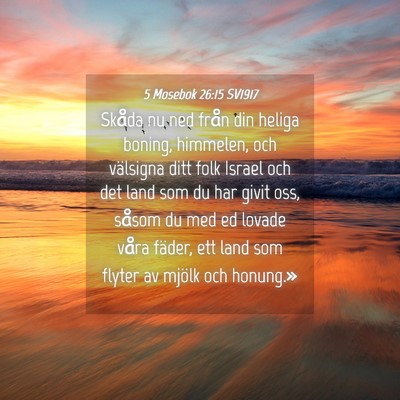 Picture 04 - 5 Mosebok 26:15 SV1917 - Skåda nu ned från din heliga boning, himmelen, - Bible Verse Picture